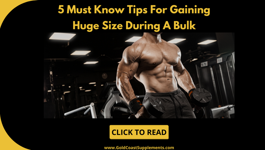 5 Must Know Tips For Gaining Huge Size During A Bulk